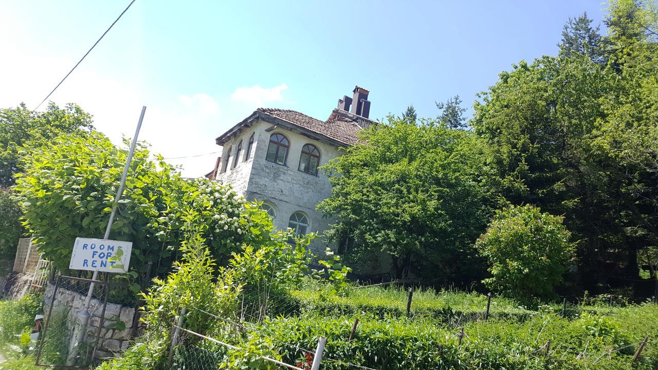 Pandora Villa Mavrovo Exterior photo