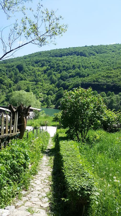 Pandora Villa Mavrovo Exterior photo