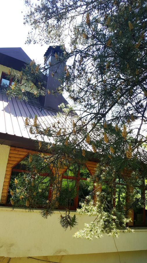 Pandora Villa Mavrovo Exterior photo